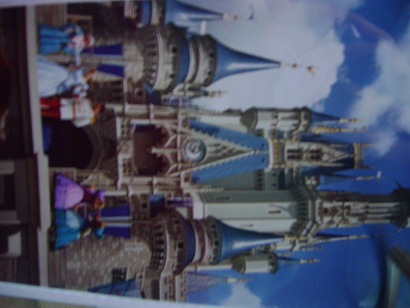 Sejour a Walt Disney World Dsc04417