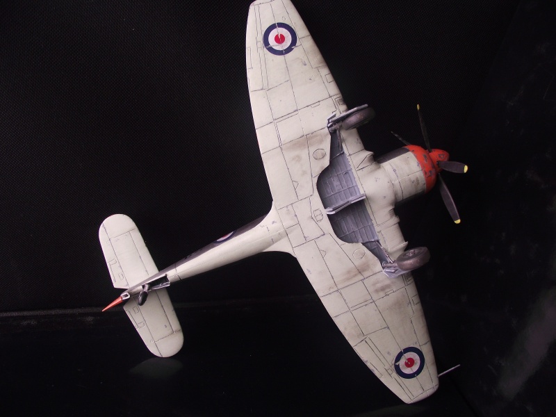 [HOBBYCRAFT] 1/48 HAWKER SEA FURY Dscf2323