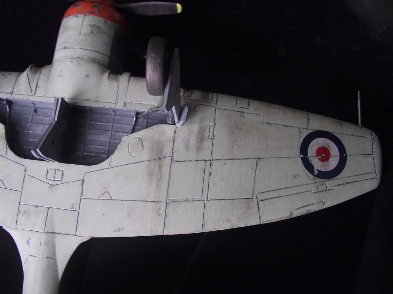 [HOBBYCRAFT] 1/48 HAWKER SEA FURY Dscf2325