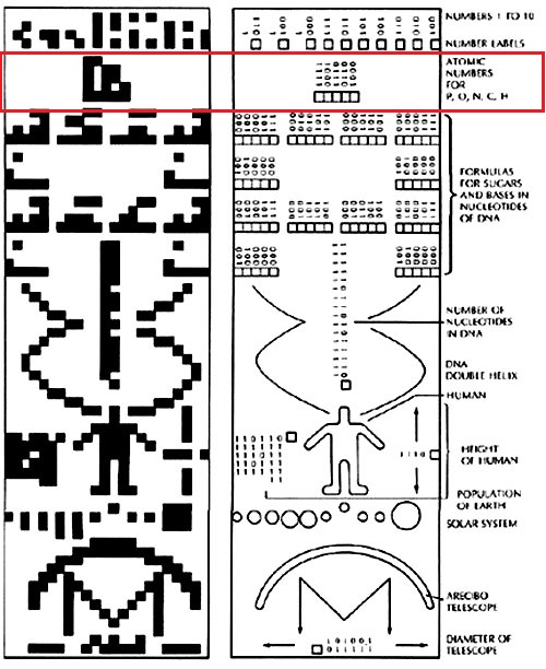 Analyse du Crop-Circle de Chibolton Chilbo11