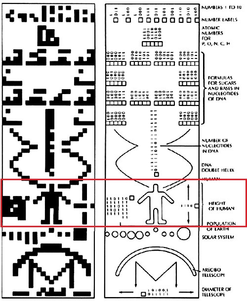 Analyse du Crop-Circle de Chibolton Chilbo13