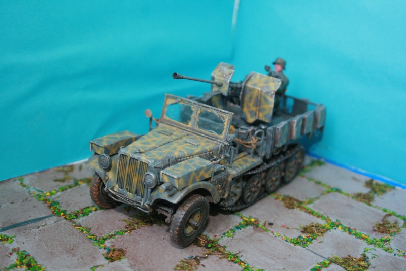 sdkfz 10 Img_3220