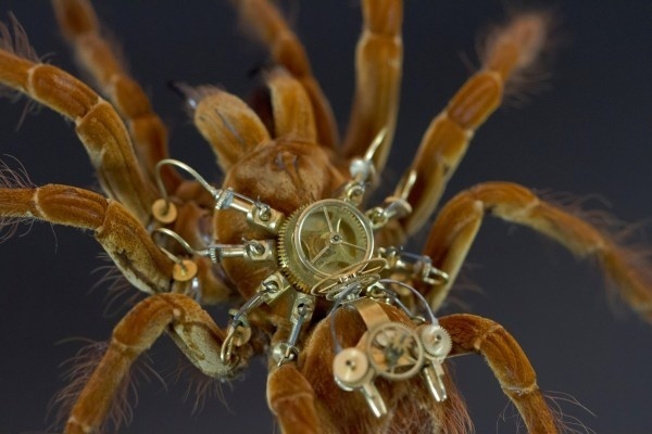 j'ai rêvé d'un autre monde. Arachs10