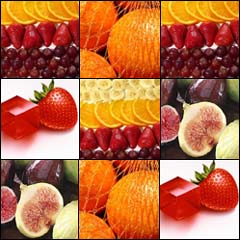 La Mémoire et les Scientifiques Fruits10