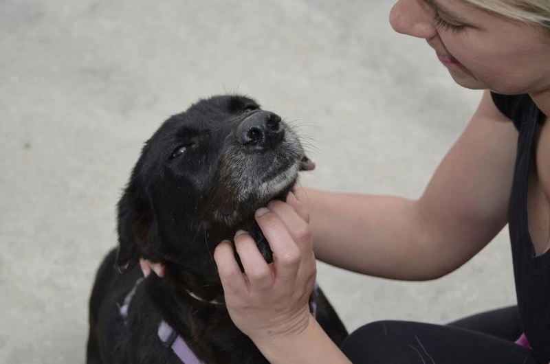 Urgent - CONGUITA - x9 ans - Asso Alerte Sos -  Ceuta (Espagne) Congui10