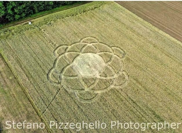 LES CROP CIRCLES............... QUELLE AVENTURE !!! - Page 4 Milan11