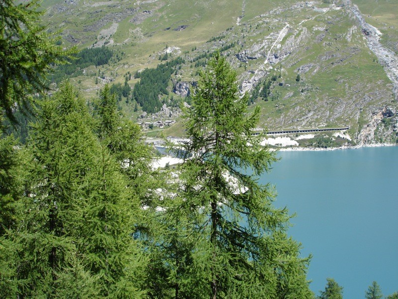 Tignes le Lac -> Tignes les Boisses Dsc04118