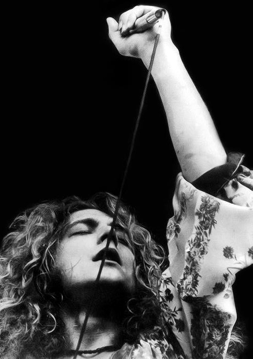Pictures at eleven - Led Zeppelin en photos - Page 2 Tumbl351