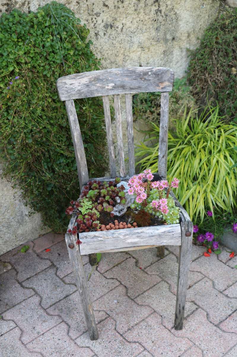 entrez chez chao le jardin est t'ouvert  - Page 4 Chaise10