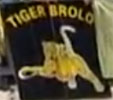 Brolo - Tiger