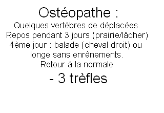 Chevaux de Raaja Cliniq13