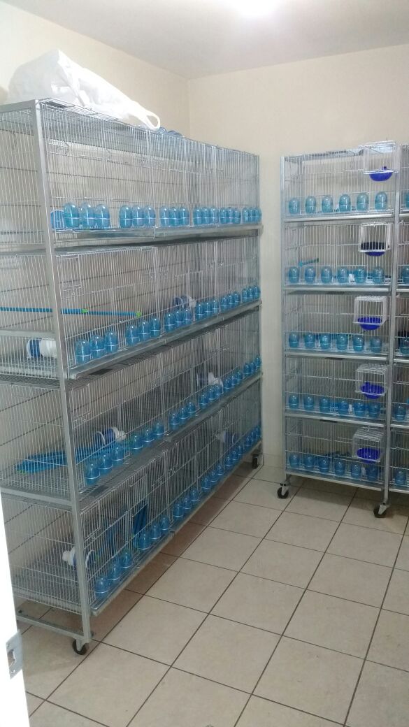Jaulas de cría y voladoras para canarios en batería