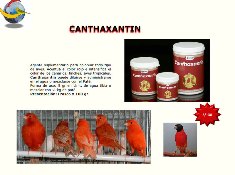 Cantaxantina para Canarios rojos. 814