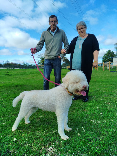 BIENE (Lagotto) Adop1051