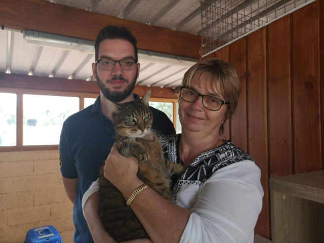 FRIPOUILLE (Tabby brun) Adopt332