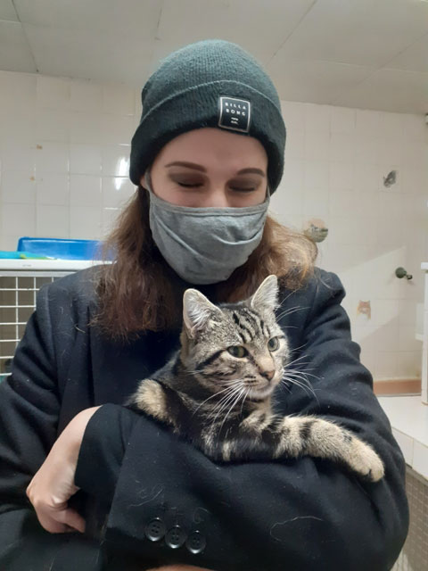 SHERKAN (Tabby) Adopt842