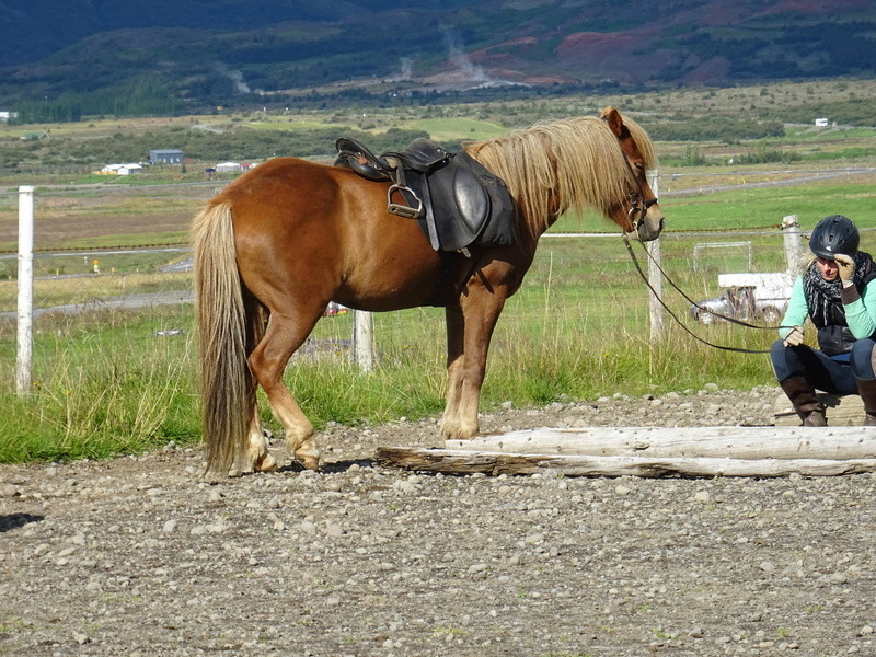 Randonnée à cheval en Islande Dsc00314