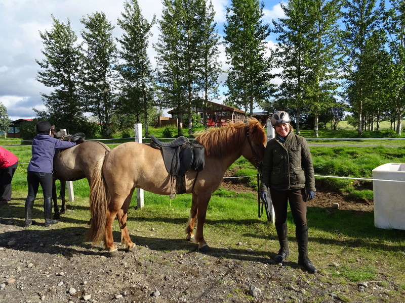 Randonnée à cheval en Islande Dsc00315
