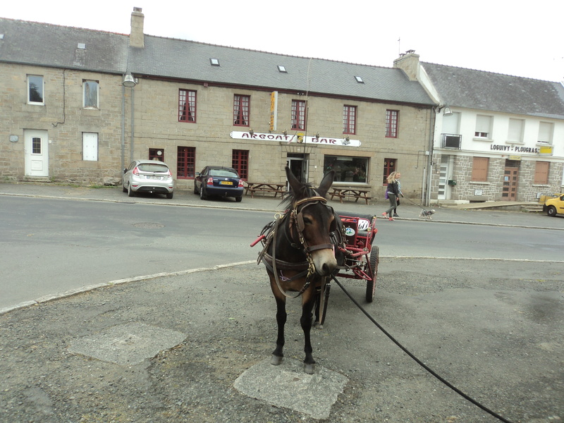 LOOPING fait les courses. Dsc09111