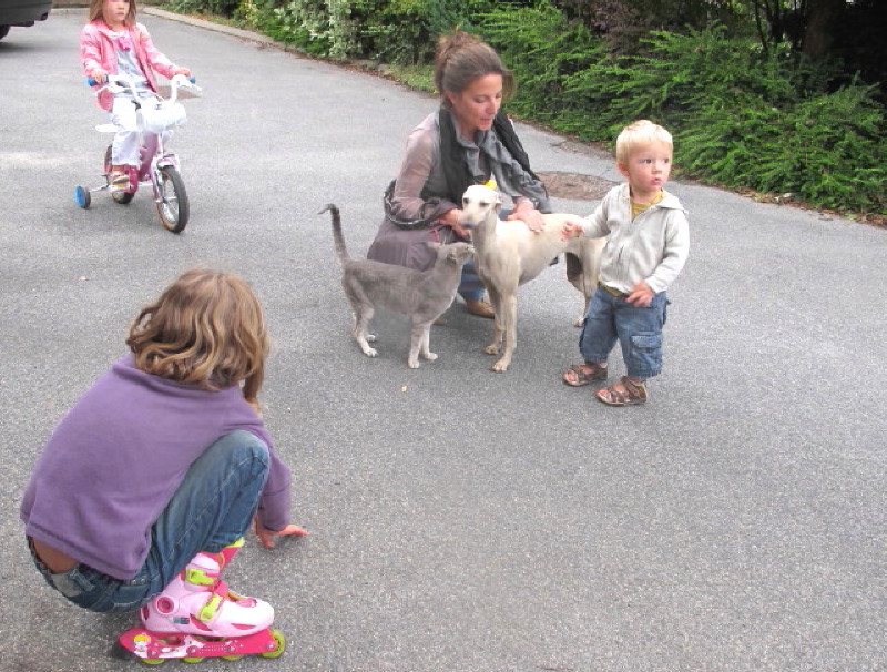 Voisins ayant des chiens. - Page 3 Img_0018