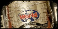 Champions Wwftag10