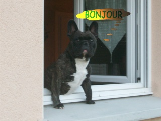 Les Papes Illons Bonjou46
