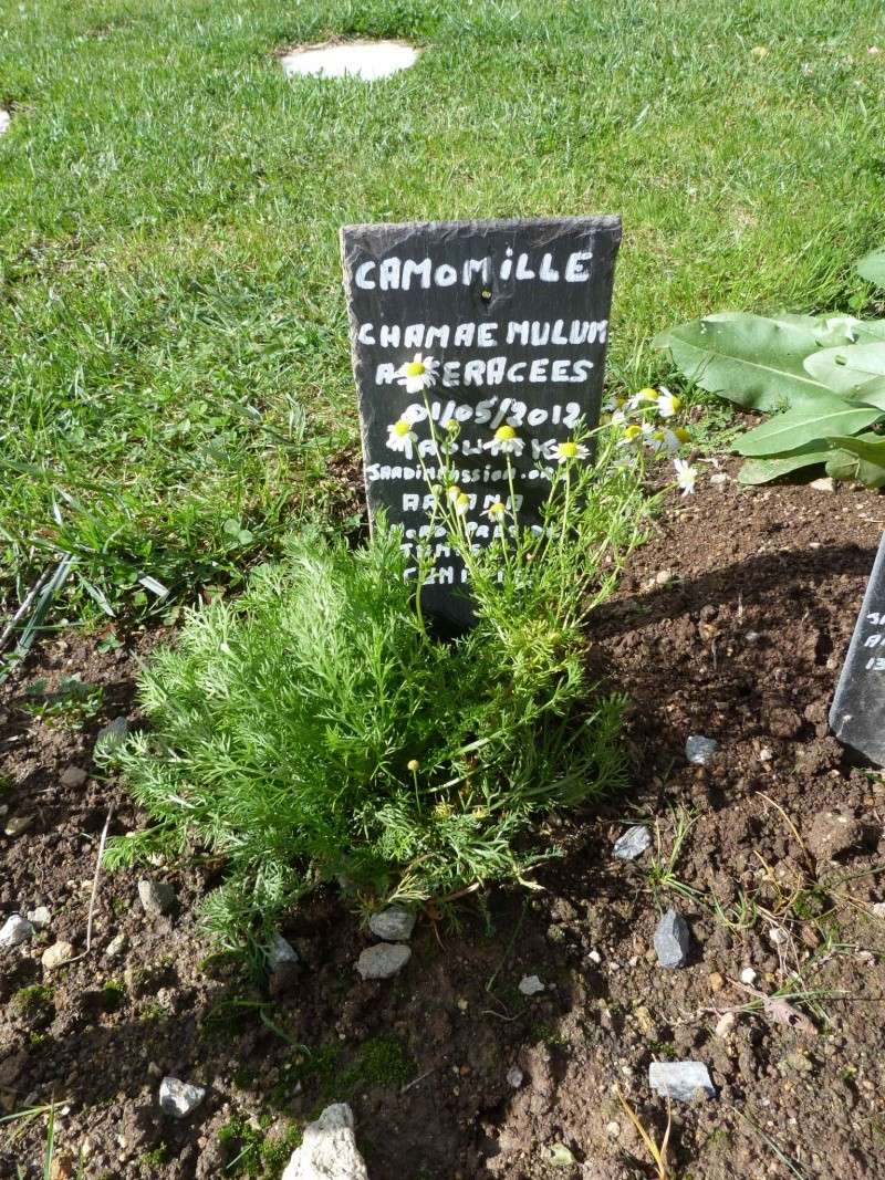 Album photo  du jardin des poëtes - Page 39 P1170661