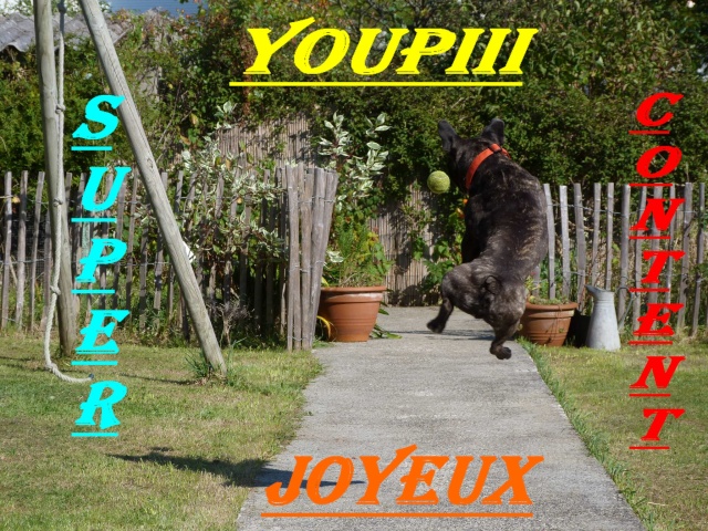 concours pour Corto Youpii19