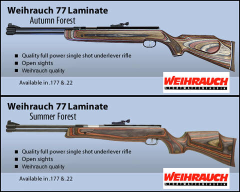 Weihrauch HW77 - Carabine à plomb
