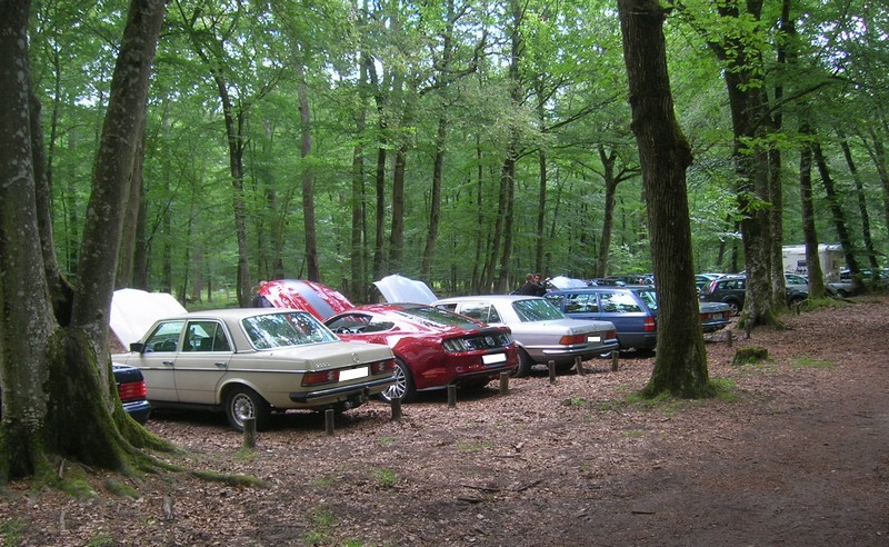 Fontainebleau 77 - Dimanche 26 juin 2016 - Pique-nique familial en forêt de Barbizon Dscn9884