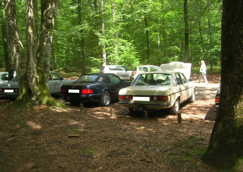 Fontainebleau 77 - Dimanche 26 juin 2016 - Pique-nique familial en forêt de Barbizon Dscn9887