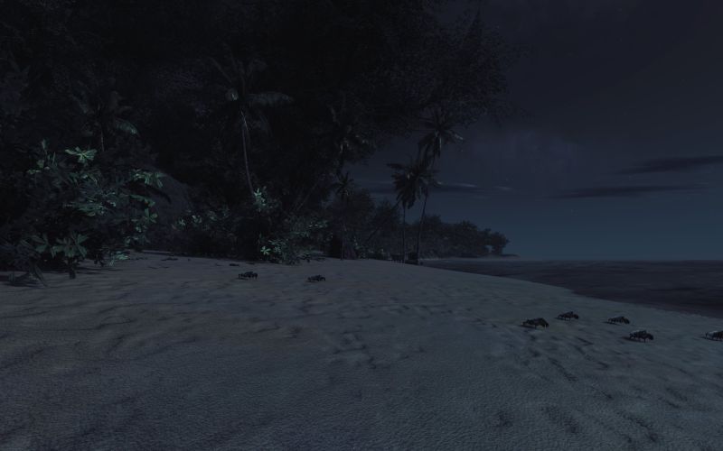 Kolumbia Beach10