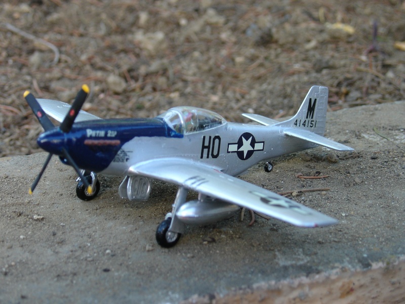 Mustang P-51D 212_mu10