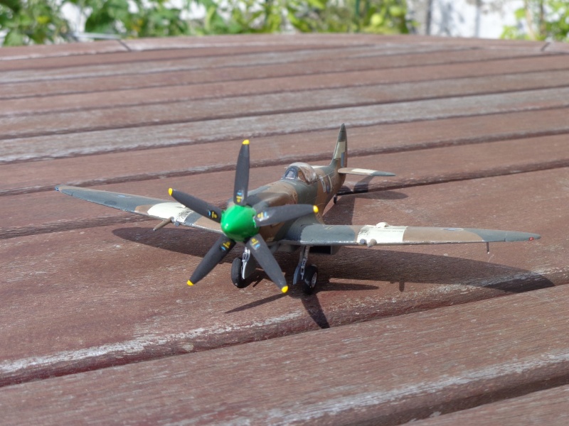 Spitfire F.R.Mk.XIV E "Fighter Recon" Dsc00322