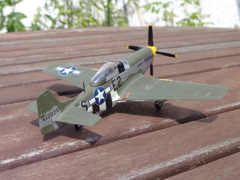 Mustang P-51D Dsc00413
