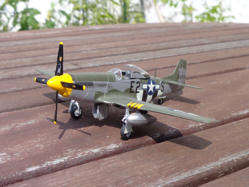Mustang P-51D Dsc00414