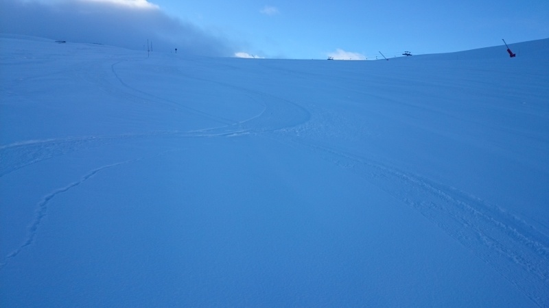 Conditions en direct Eté 2016 Dsc_0321