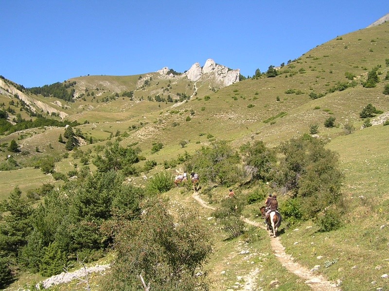 Rando: Col des Aiguilles..Dévoluy...et Plate Contier.. - Page 16 P8080139