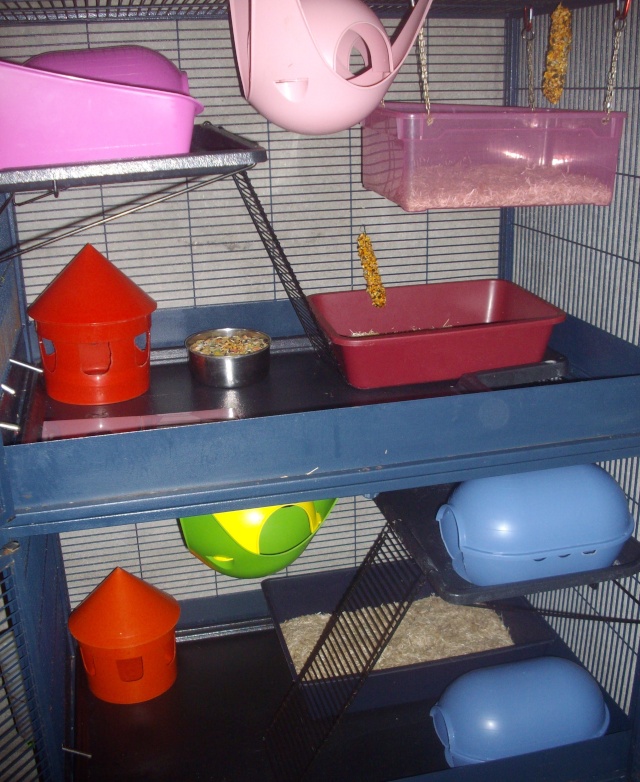 Mes cages : dry bed chez filles en p 2 :) Cages_11