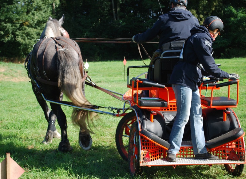 Championnats de France de T.R.E.C. en attelage à Gionges (51 Marne - Champagne) du 19 au 21 août 2016 Dsc_0038