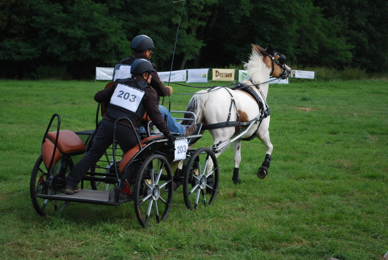 Championnats de France de T.R.E.C. en attelage à Gionges (51 Marne - Champagne) du 19 au 21 août 2016 - Page 2 Dsc_0061