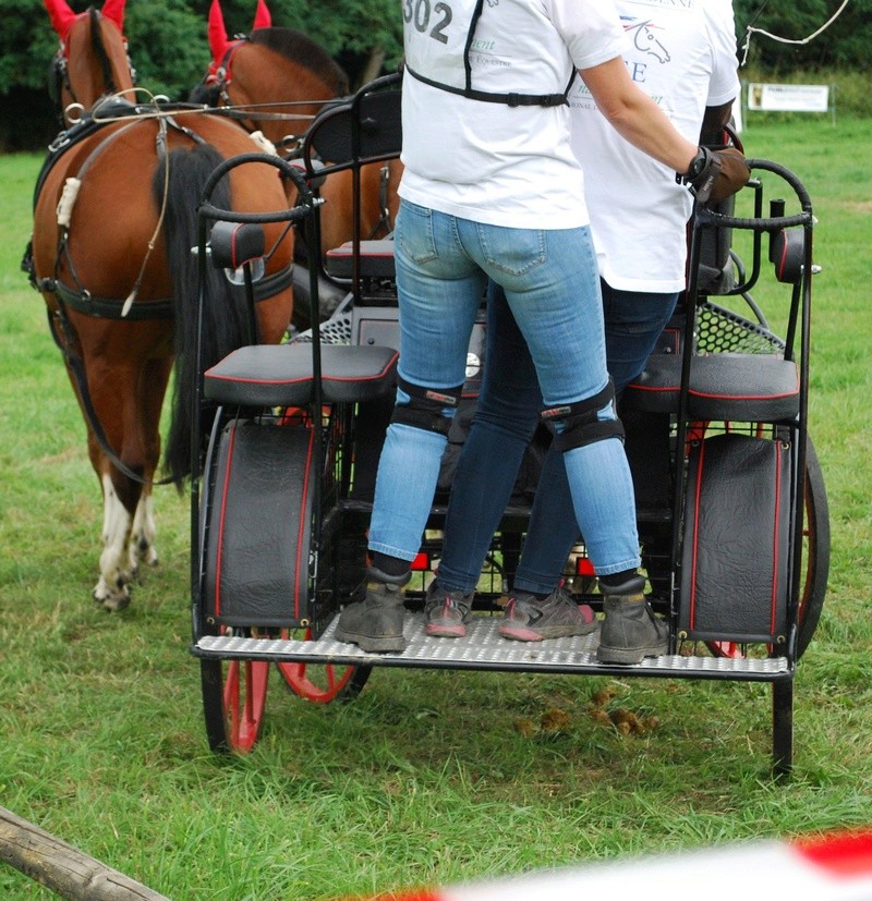 Championnats de France de T.R.E.C. en attelage à Gionges (51 Marne - Champagne) du 19 au 21 août 2016 - Page 2 Dsc_0130