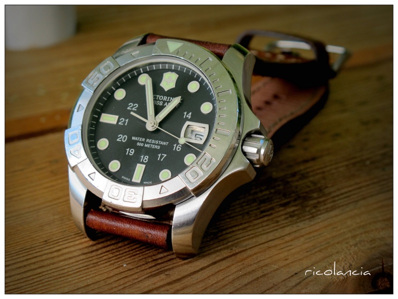 seamaster - ***** le Quartz du jour! ***** - Page 16 Victor10