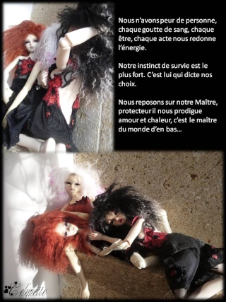 Cely'dolls: le cottage (dressing-diorama) + séance test Diapo189