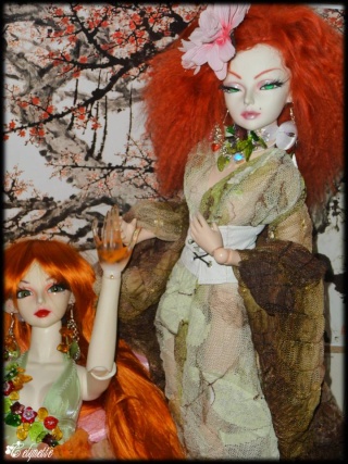 Cely'dolls: le cottage (dressing-diorama) + séance test Diapo375