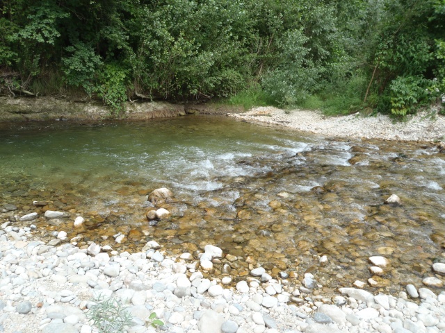 sortie dans le vecors P7250219