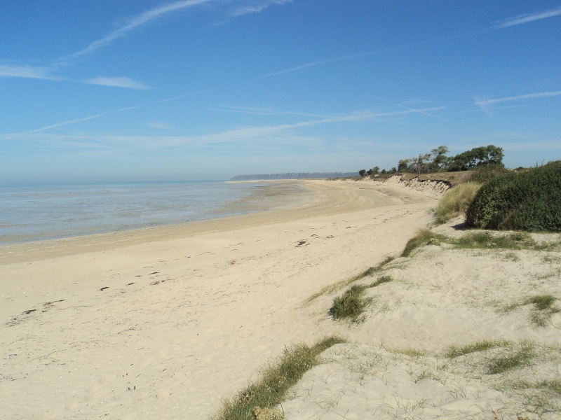 Ballade à Granville Dsc03512