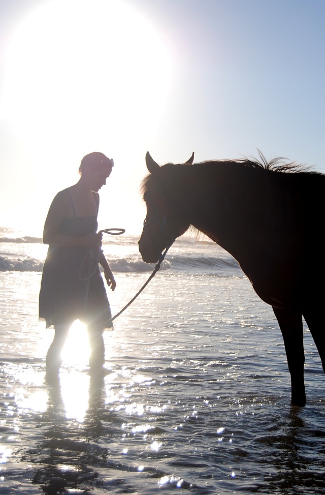 Saphounet, petit séjour sur l'île de Ré !! Dsc_0229