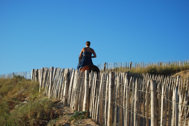 Saphounet, petit séjour sur l'île de Ré !! Dsc_0322