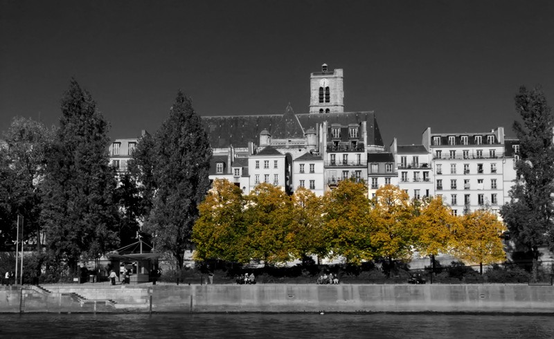 Bord de seine Seine10